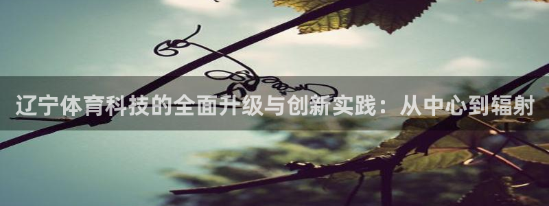 辽宁体育科技的全面升级与创新实践：从中心到辐射