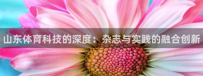 山东体育科技的深度：杂志与实践的融合创新